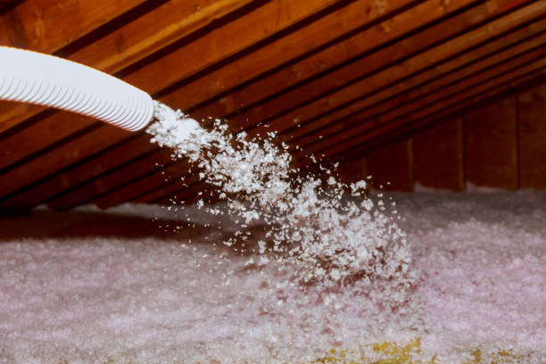 Best Eco-Friendly Insulation in Palm Shores, FL