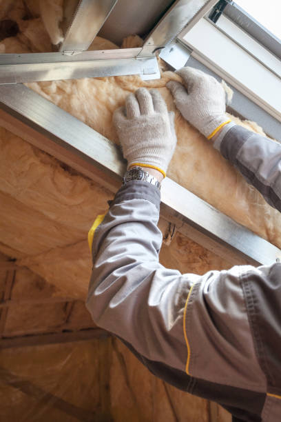 Best Fiberglass Insulation in Palm Shores, FL