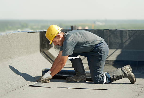 Best Specialized Insulation Services in Palm Shores, FL