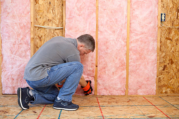 Best Insulation for Specific Applications in Palm Shores, FL