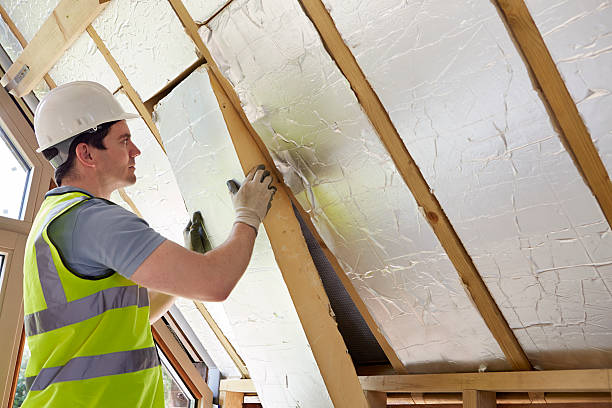 Trusted Palm Shores, FL Insulation Contractor Experts