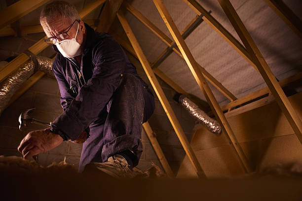 Best Blown-in Insulation in Palm Shores, FL